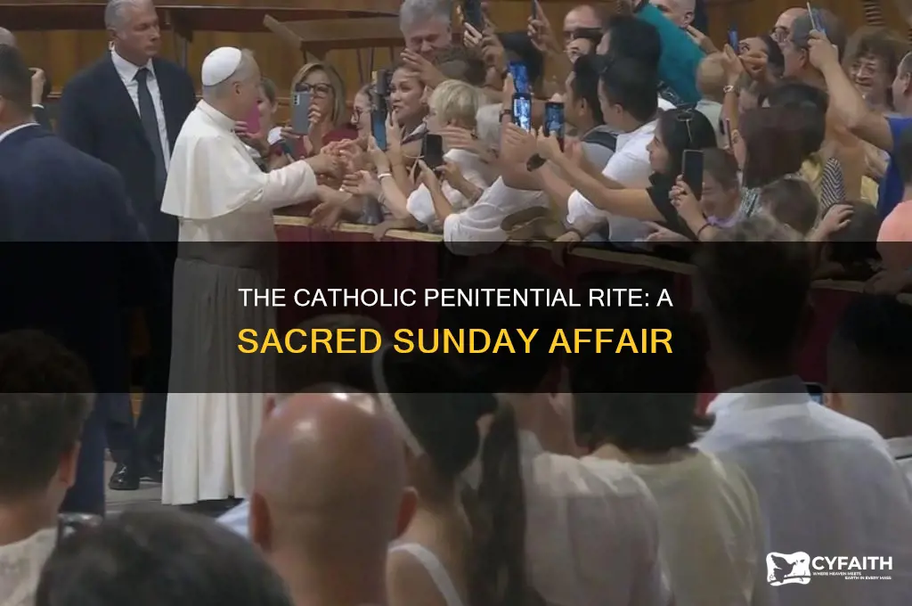 what subday is the catholic penitential rite