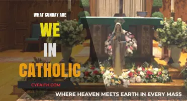 Sunday Significance in Catholic Calendar