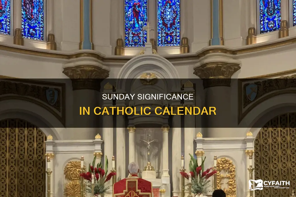 what sunday are we in catholic