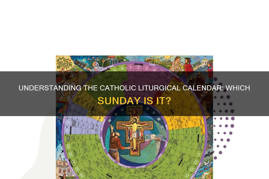 what sunday is it catholic