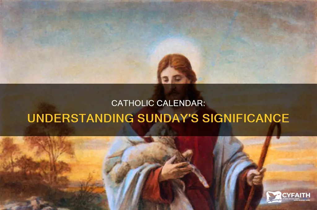 what sunday is it in the catholic calendar