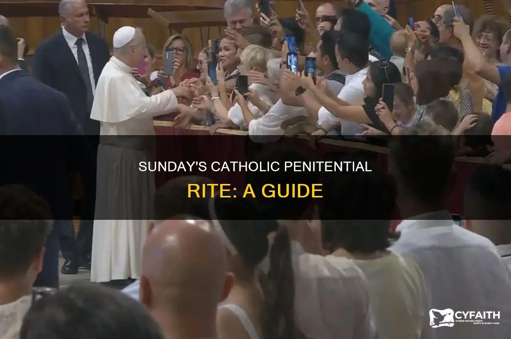 what sunday is the catholic penitential rite
