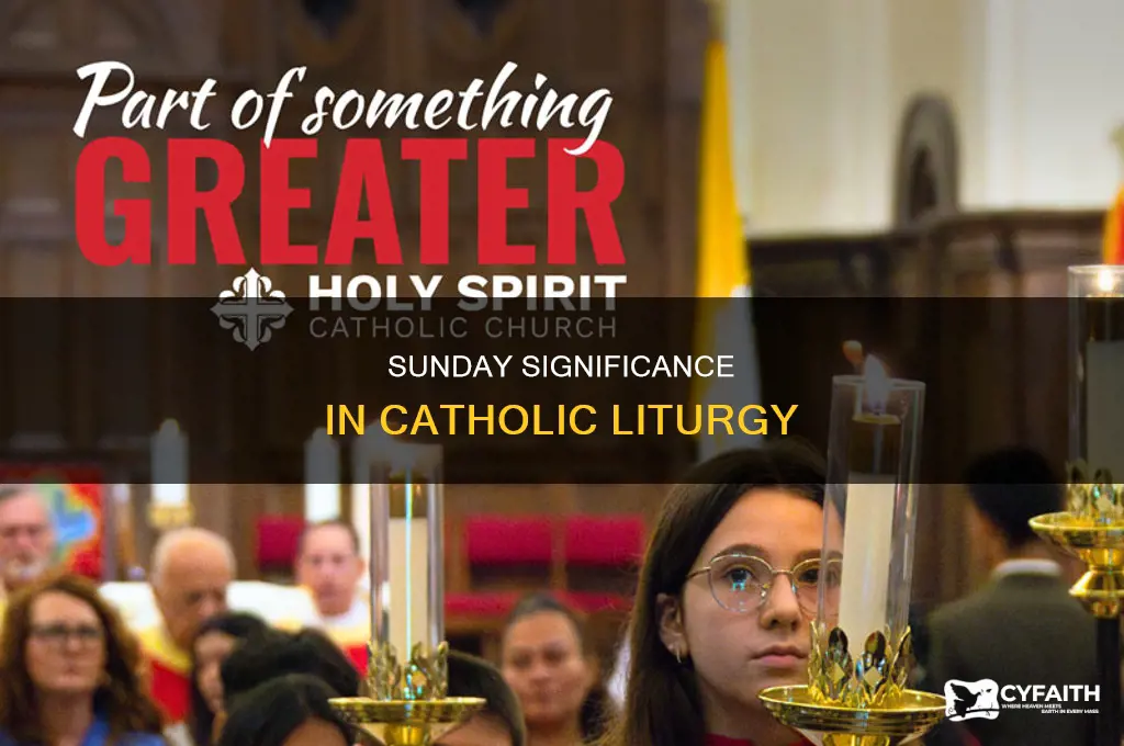 what sunday is this in the catholic liturgy