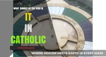 Understanding the Catholic Liturgical Calendar: Which Sunday Are We On?