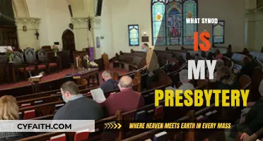 Understanding Your Presbytery's Synod Affiliation: A Comprehensive Guide