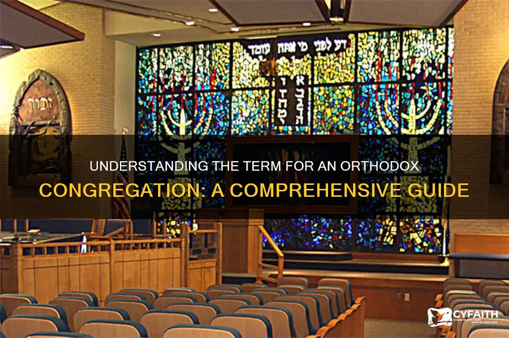 what term is used for an orthodox congregation
