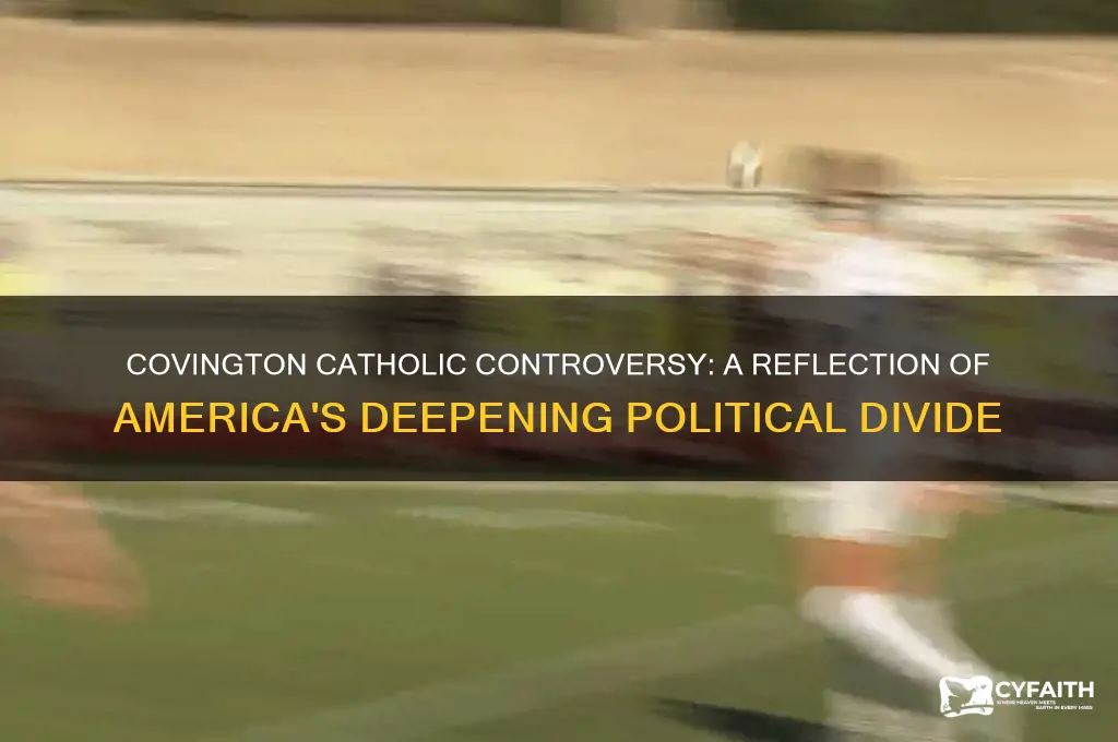 what the covington catholic controversy says about america