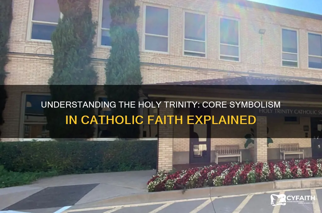 what the holy trinity represents in the catholic faith