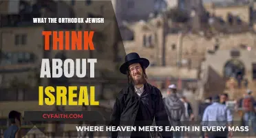 Orthodox Jewish Perspectives on Israel: Beliefs, Values, and Complexities