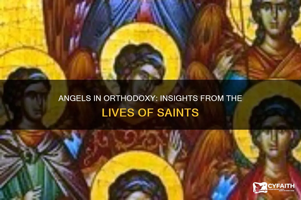 what the orthodox saints say about angels