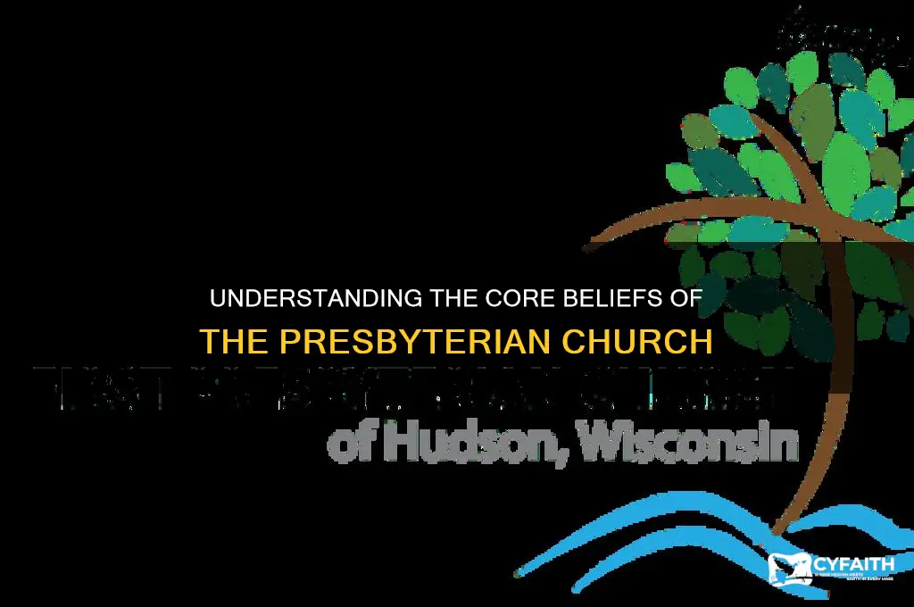 what the presbyterian church beliefs