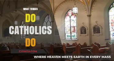 Understanding Catholic Practices: Rituals, Sacraments, and Daily Devotions Explained