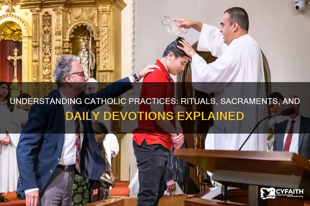 what things do catholics do