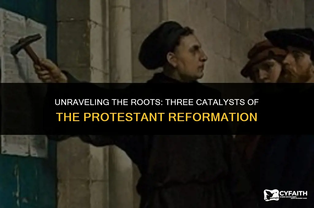 what three factors set the stage for the protestant reformation