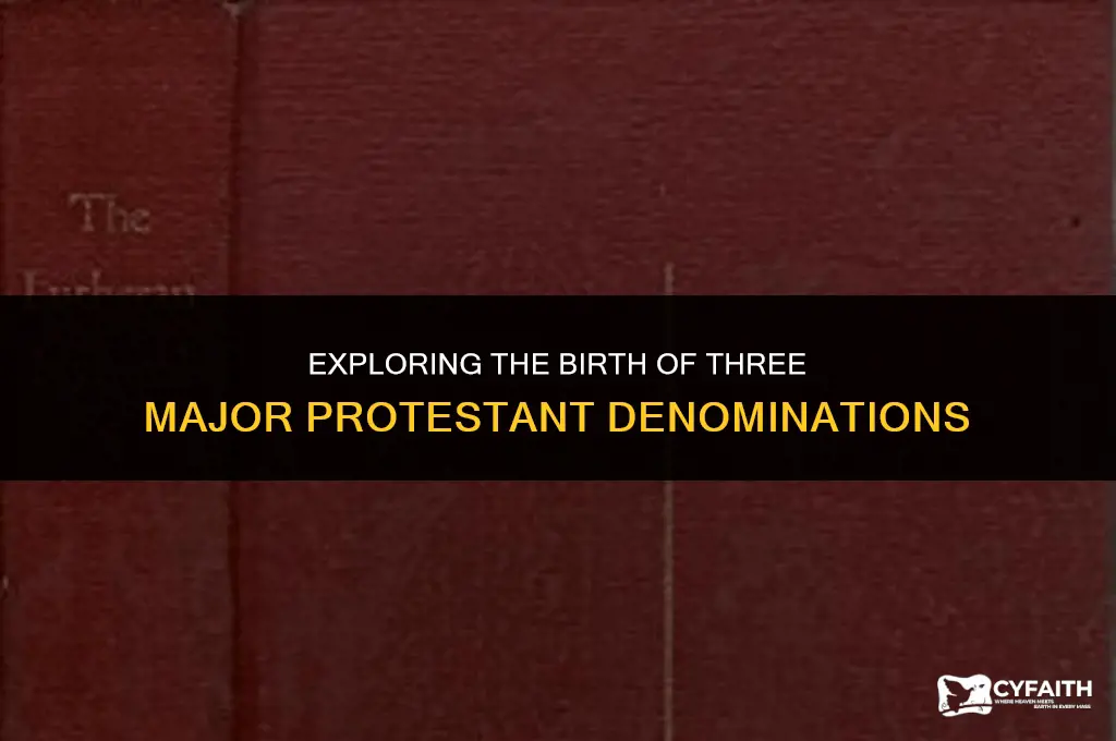 what three protestant churches were created