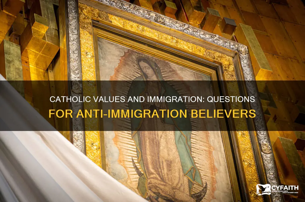 what to ask a catholic who is anti immigrztion