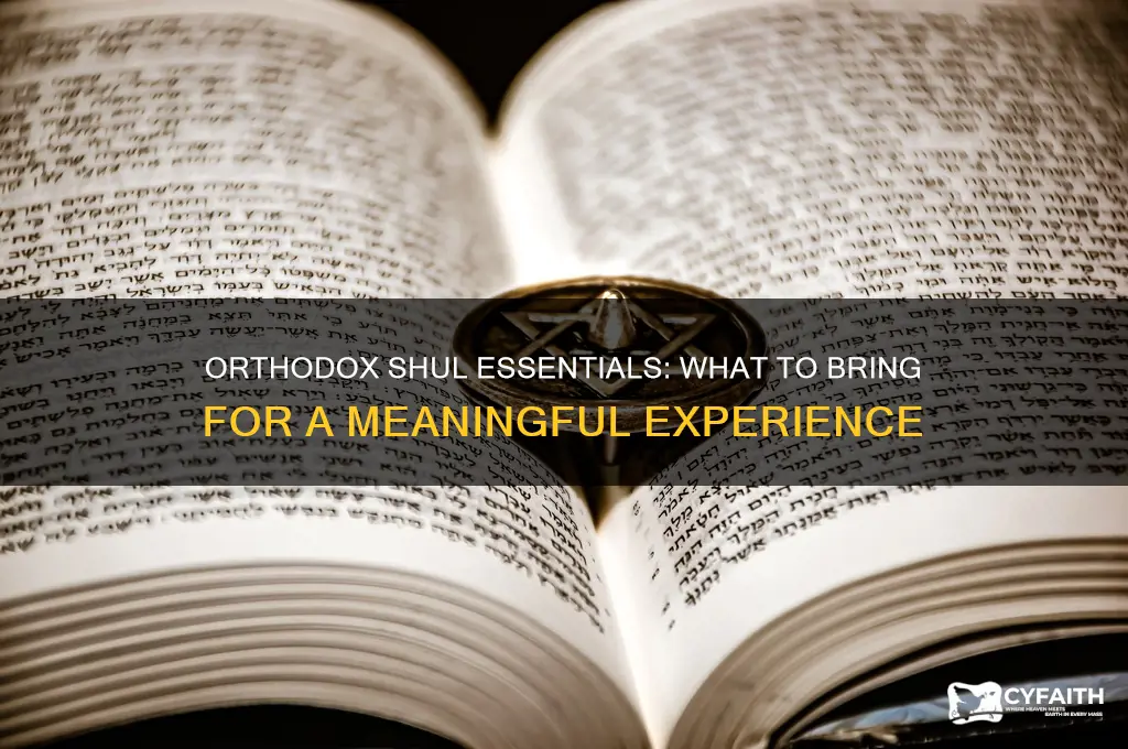 what to bring to an orthodox shul
