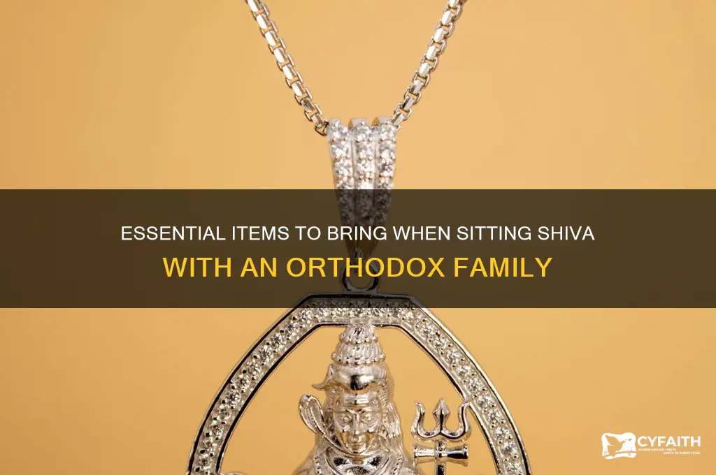 what to bring to orthodox family sitting shiva