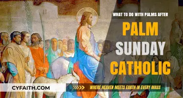 Catholic Palm Sunday Traditions: Proper Disposal and Reuse of Palms