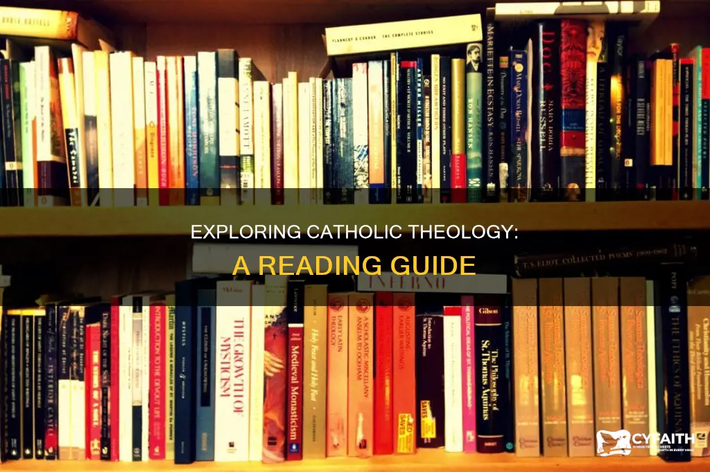 what to read to learn catholic theology