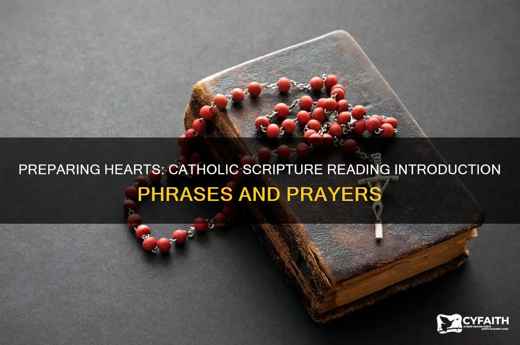 what to say before you read a scripture catholic