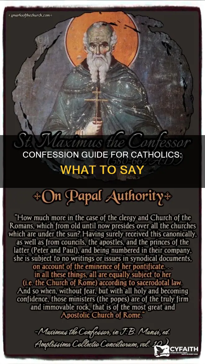 what to say in catholic confession