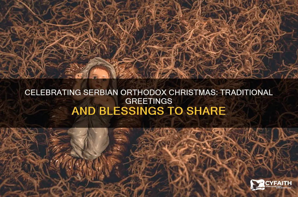 what to say on serbian orthodox christmas