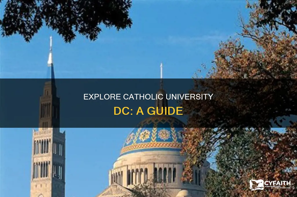 what to see at catholic university dc