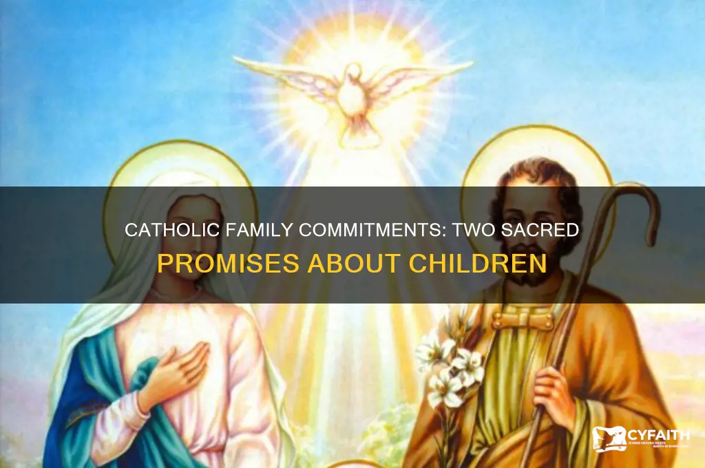 what two promises do catholics make regarding having children