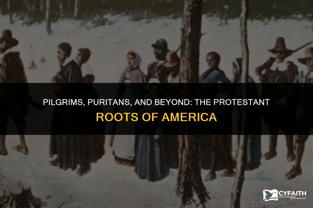 what type of protestant came to america