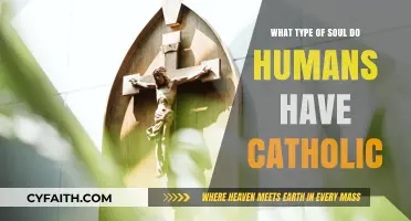 Souls and Catholicism: Understanding Your Spiritual Essence