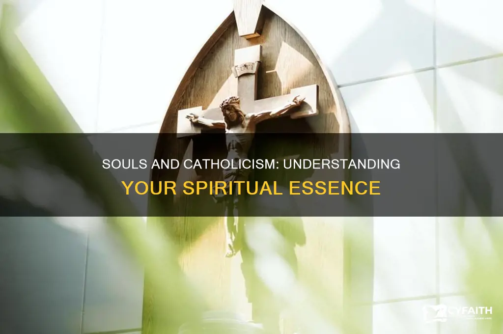 what type of soul do humans have catholic