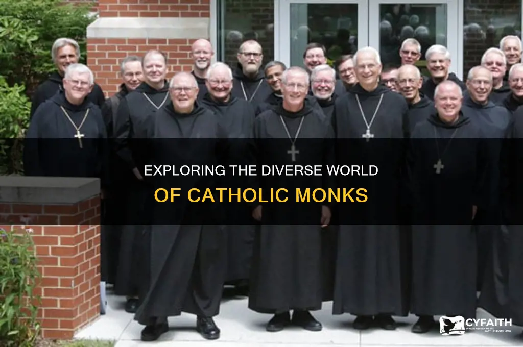 what types of catholic monks are there