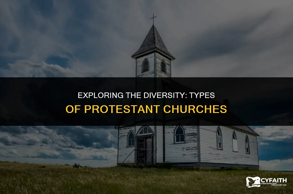 what types of churches are protestant