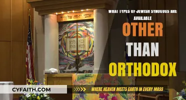 Exploring Diverse Jewish Synagogues Beyond Orthodox Traditions and Practices