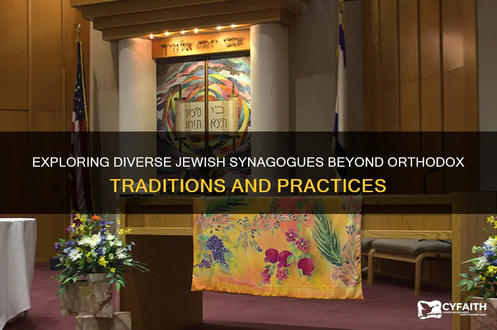 what types of jewish synogogs are available other than orthodox