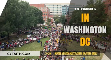 Best University Options in Washington, DC
