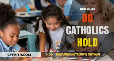 Core Catholic Values: Faith, Morality, and Community Explained