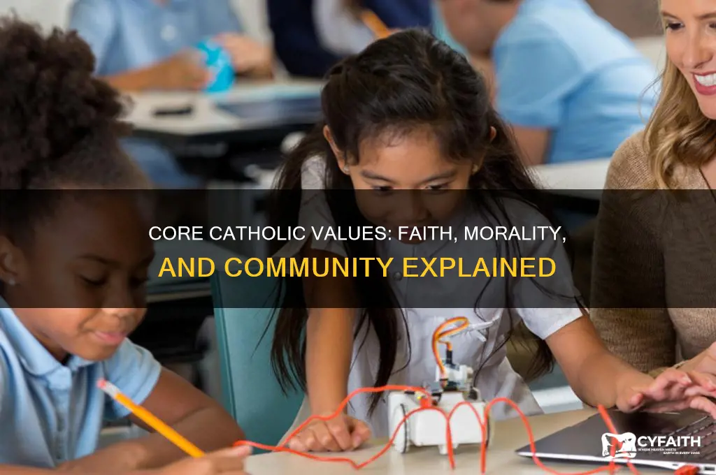 what values do catholics hold
