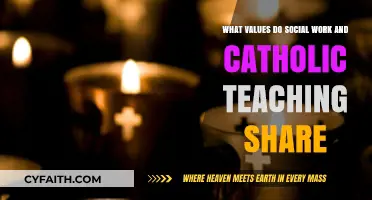 Shared Values: Social Work and Catholic Teaching in Harmony