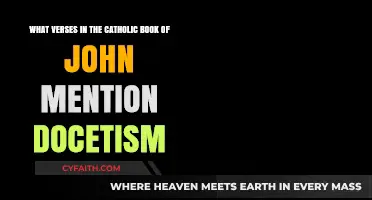 John's Gospel: Verses Addressing Docetism in Catholic Scripture Explored