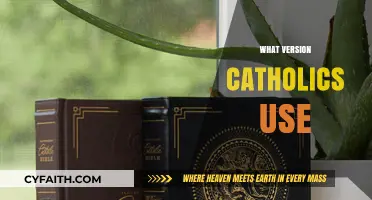 Which Bible Version Do Catholics Use? A Comprehensive Guide