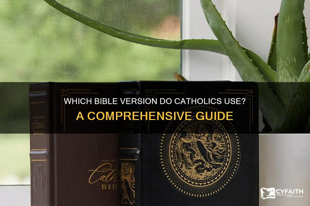 what version catholics use