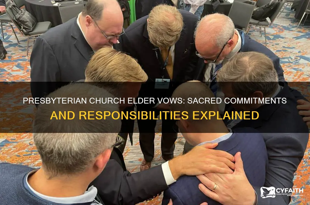 what vows does an elder take in the presbyterian church
