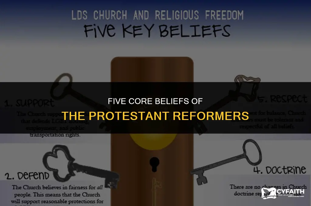 what was a belief of the protestant reformers