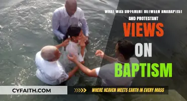 Divergent Waters: Anabaptist and Protestant Perspectives on Baptism