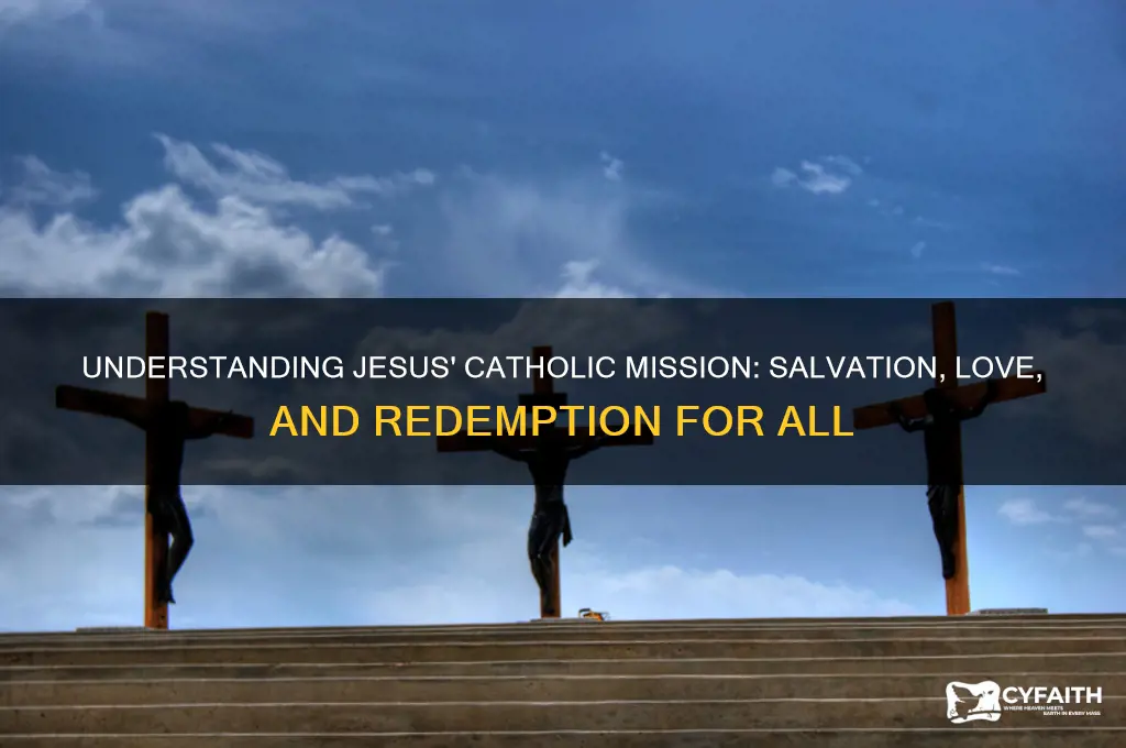 what was jesus mission catholic