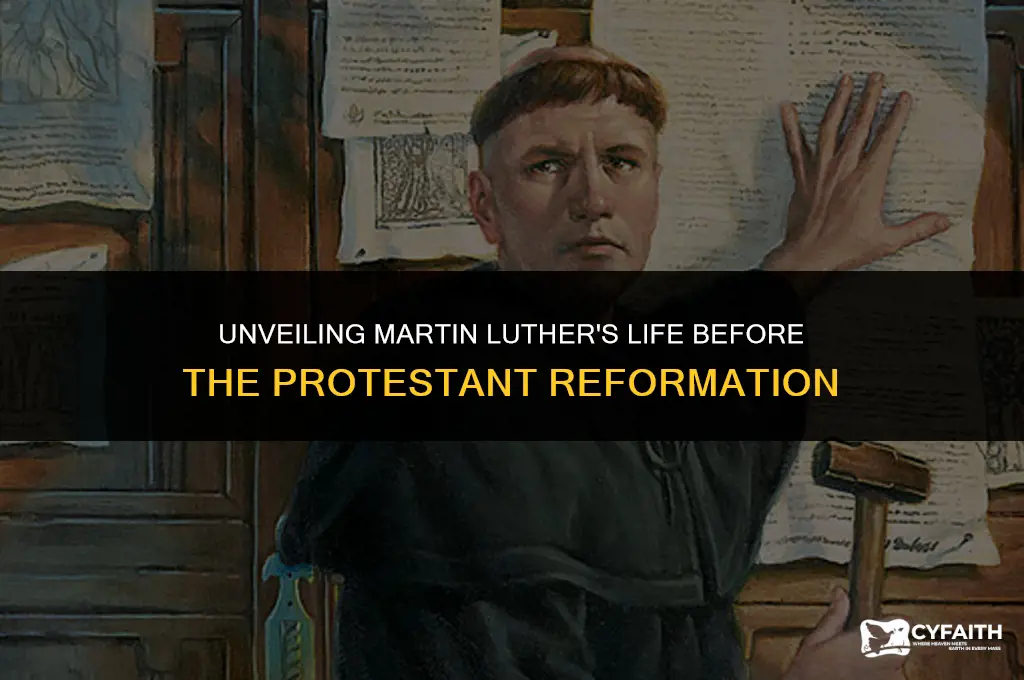 what was martin luther before the protestant reformation