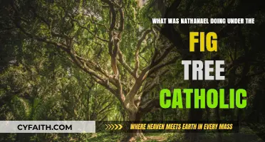 Nathanael Under the Fig Tree: Catholic Insights and Reflections