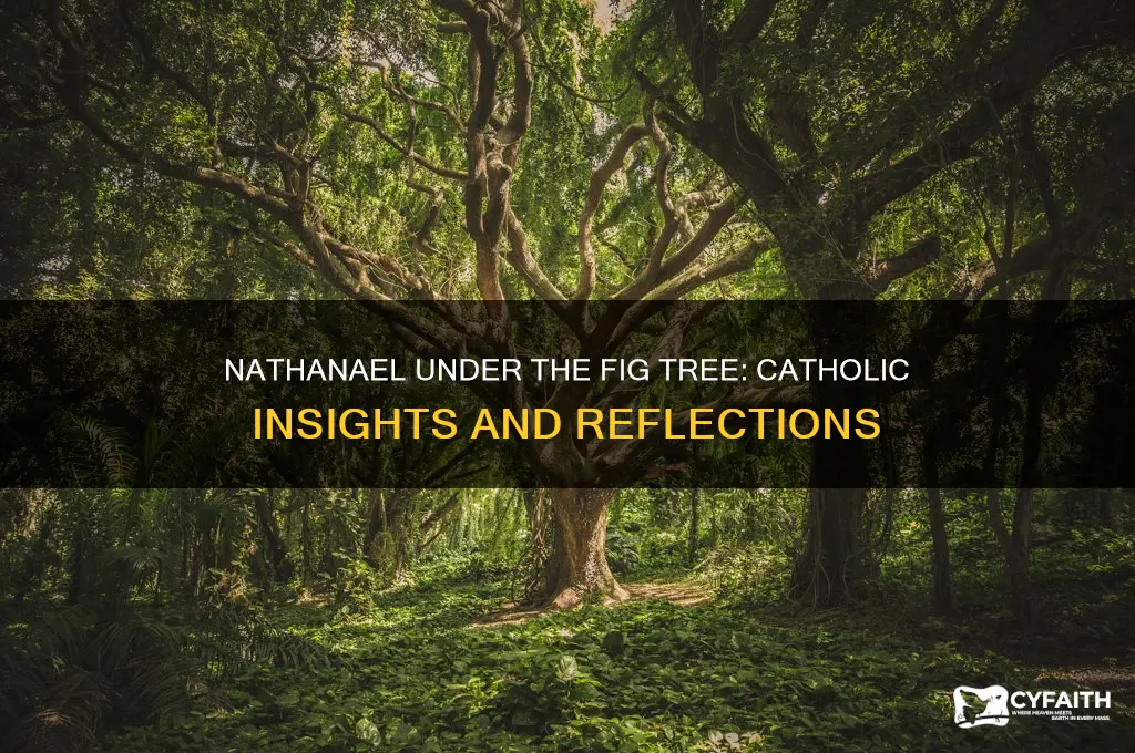 what was nathanael doing under the fig tree catholic